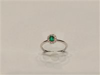 Anello Gazzola Gioielli Donna in Oro bianco 0.19 Ct CSFROX5813E-NG - CSFROX5813E-NG